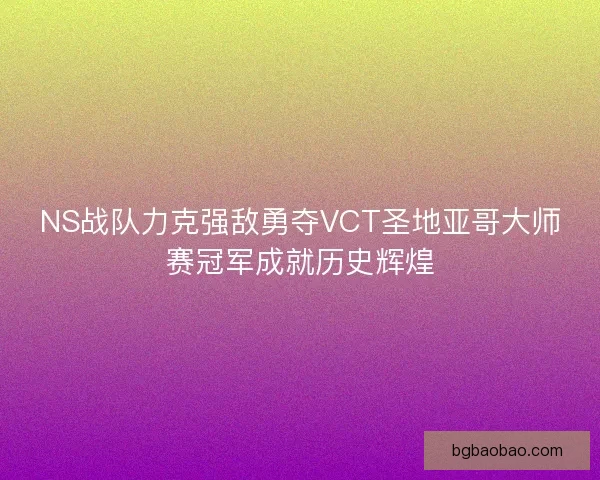 NS战队力克强敌勇夺VCT圣地亚哥大师赛冠军成就历史辉煌